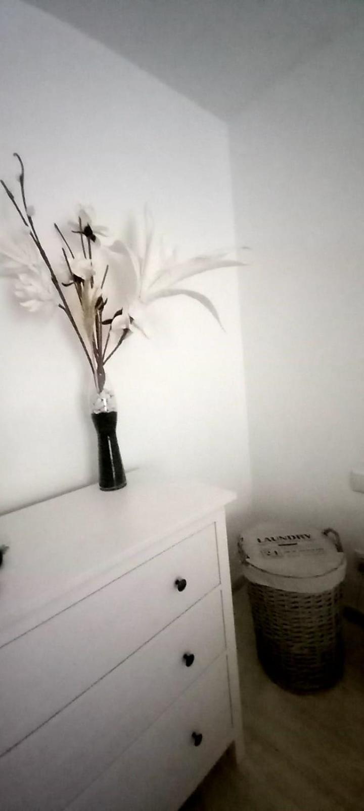 فيلا Casa Alizee, Heated Pool, Hot Tub بلايا بلانكا المظهر الخارجي الصورة