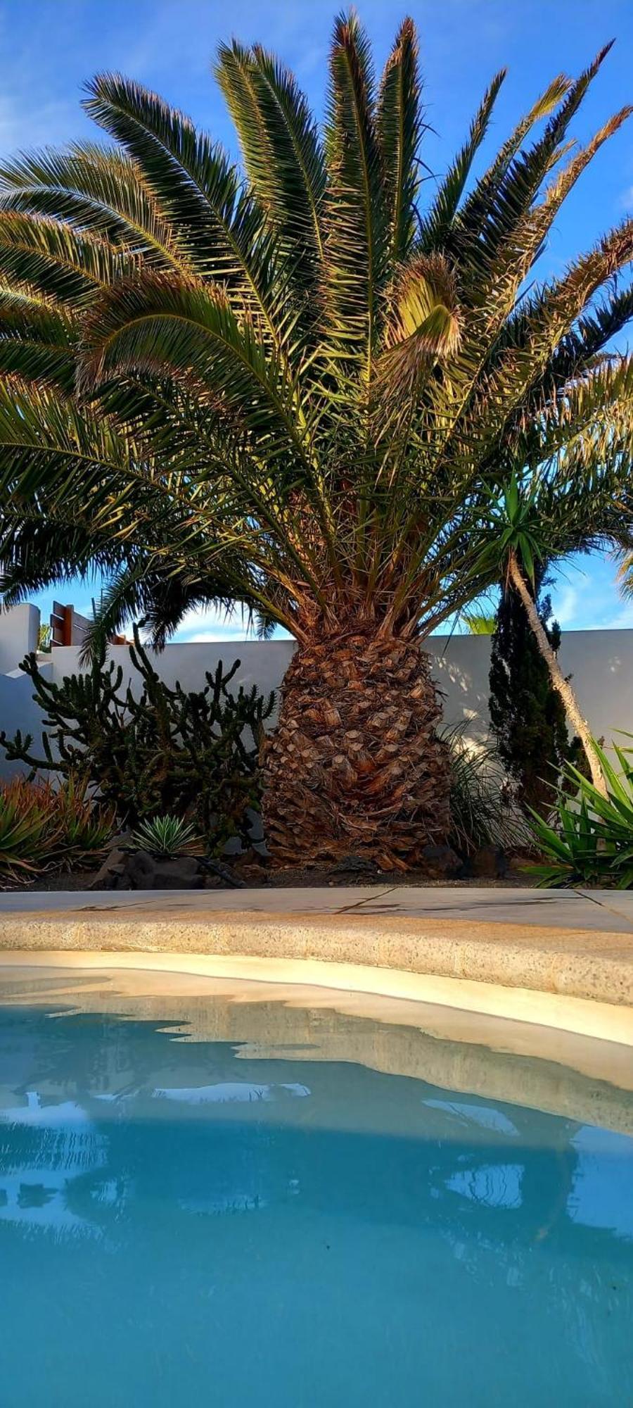 فيلا Casa Alizee, Heated Pool, Hot Tub بلايا بلانكا المظهر الخارجي الصورة